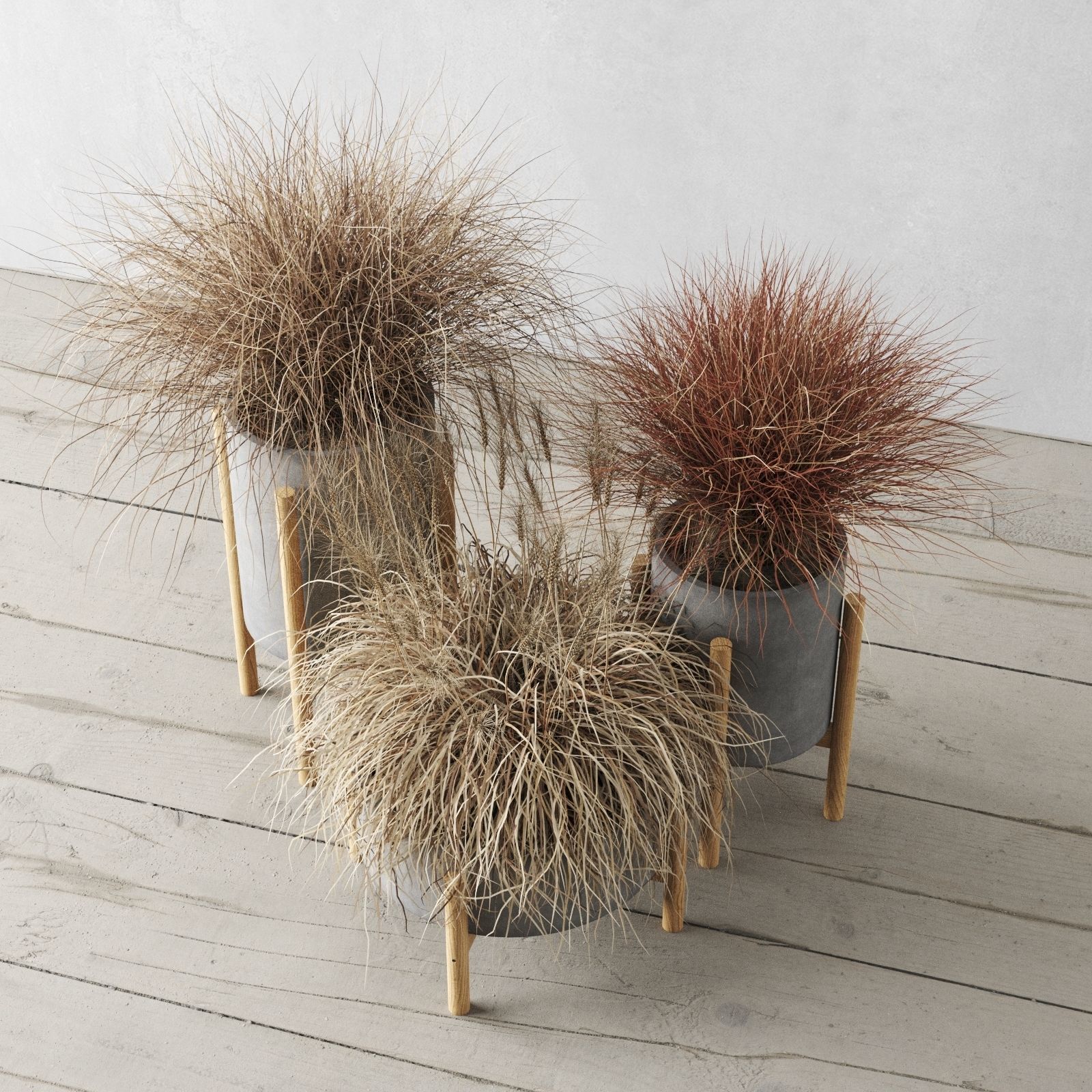 Sedge In Concrete Pots 3D model_12