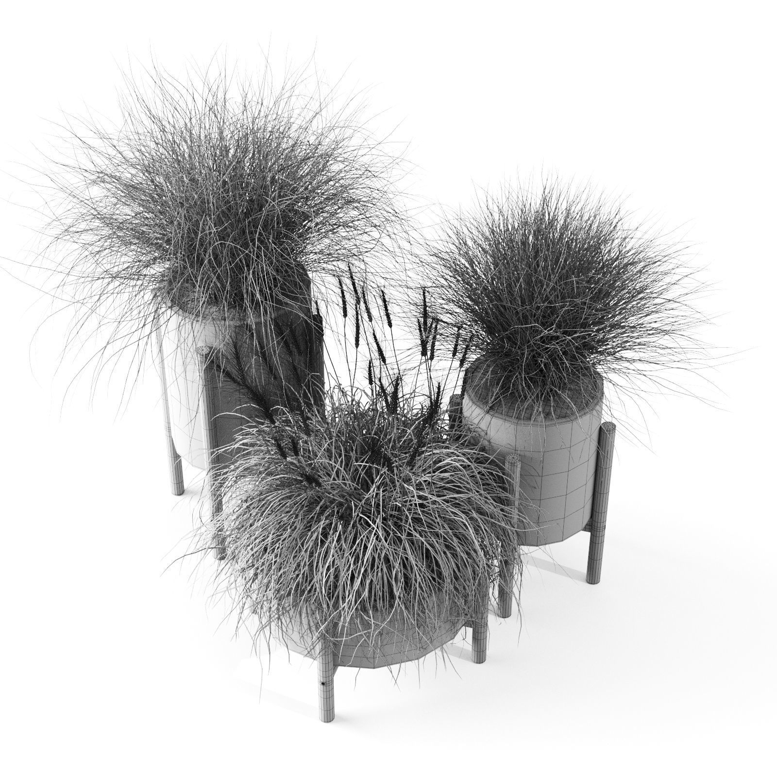 Sedge In Concrete Pots 3D model_13