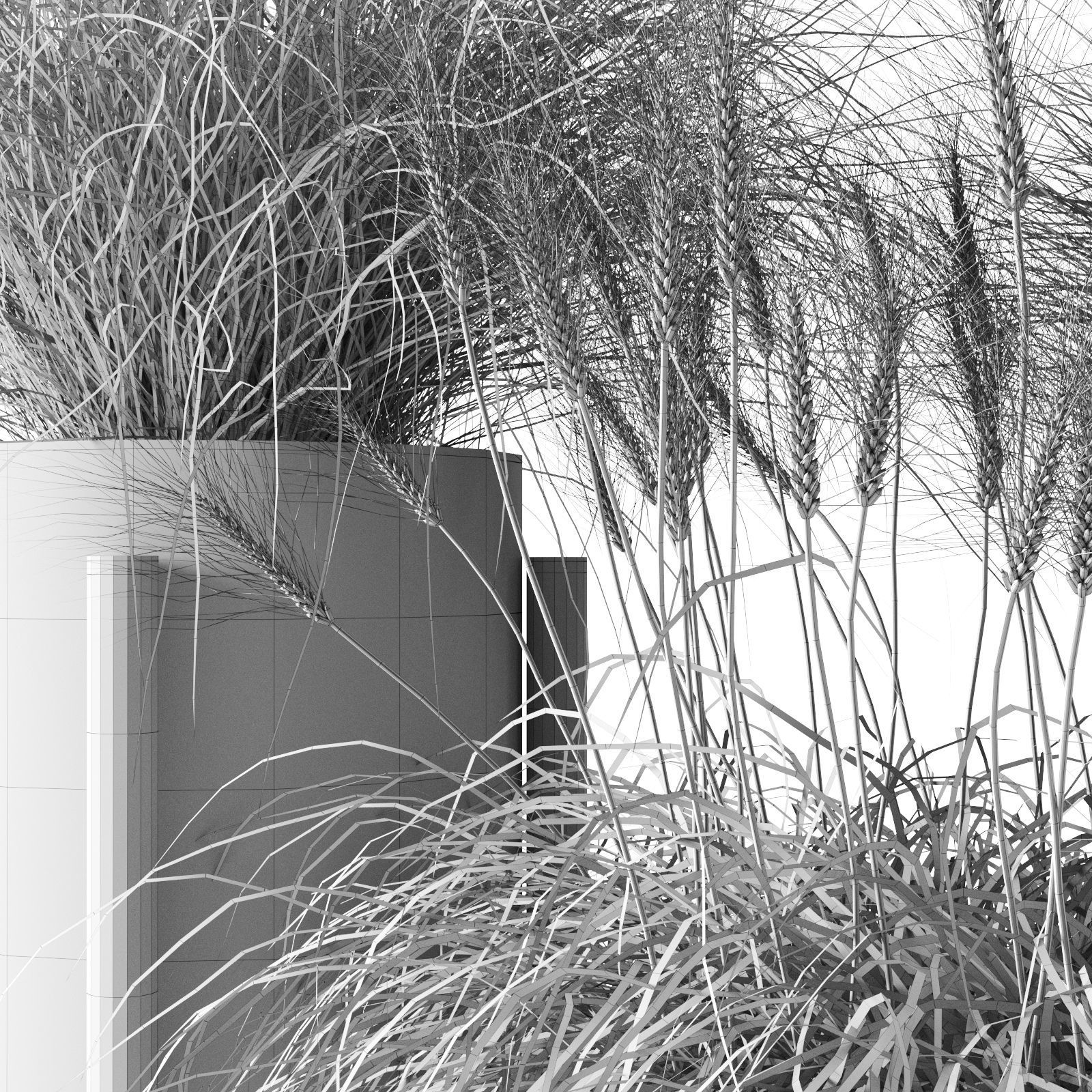 Sedge In Concrete Pots 3D model_9