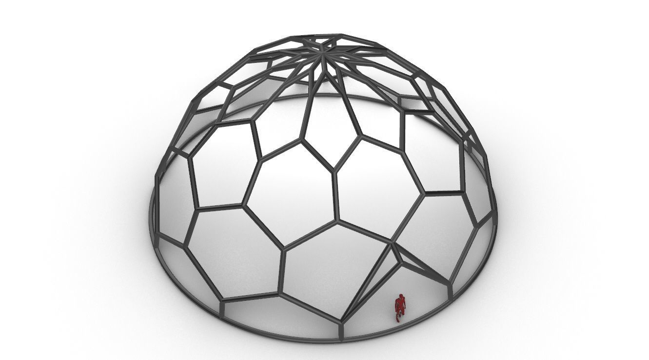 Hexagonal Dome structure Wireframe with Entry 3D model_68