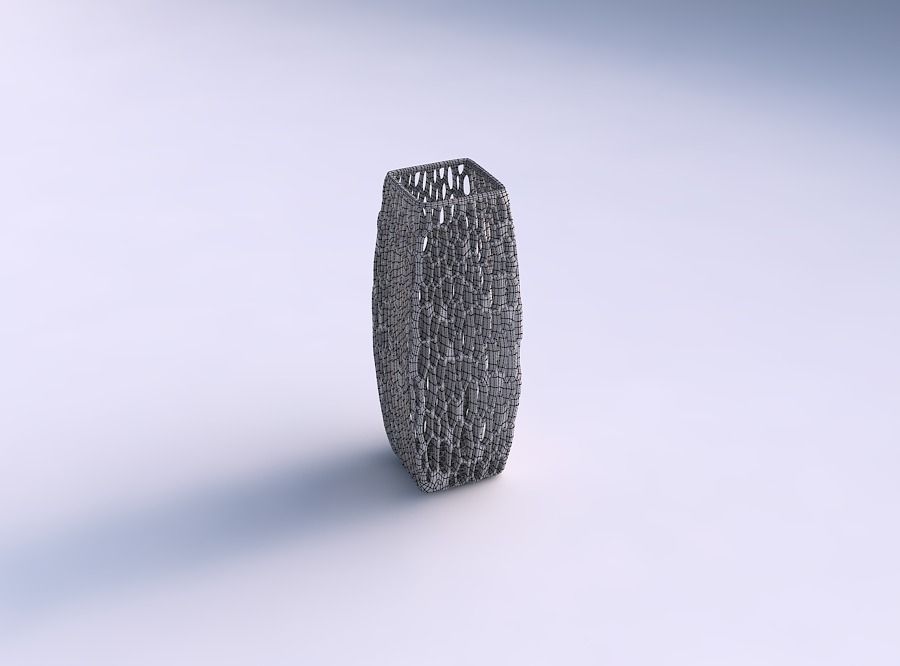 Vase rectangle with organic lattice and twisted thickness 3D print model_5