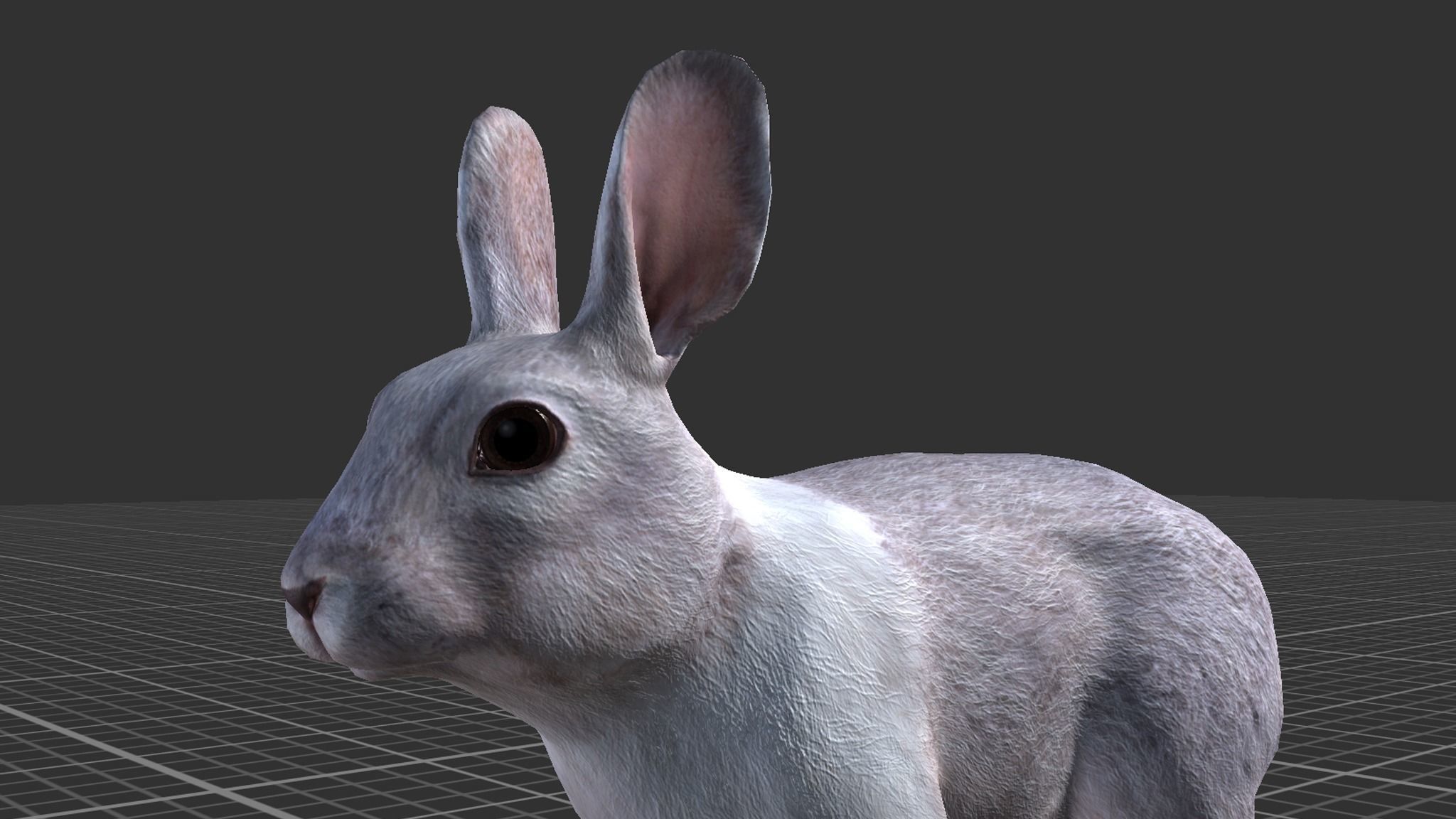Rabbit Family Low-poly 3D model_8