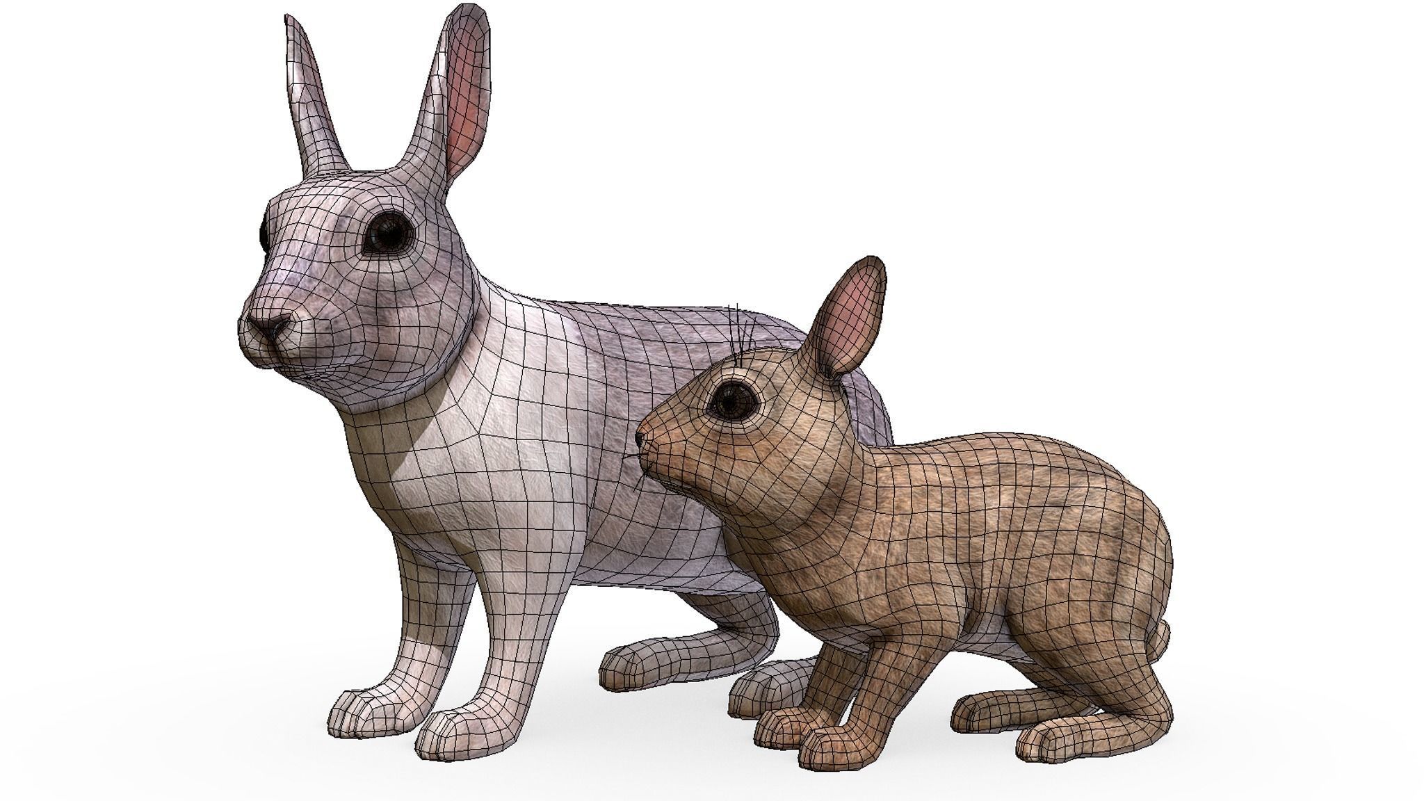Rabbit Family Low-poly 3D model_2