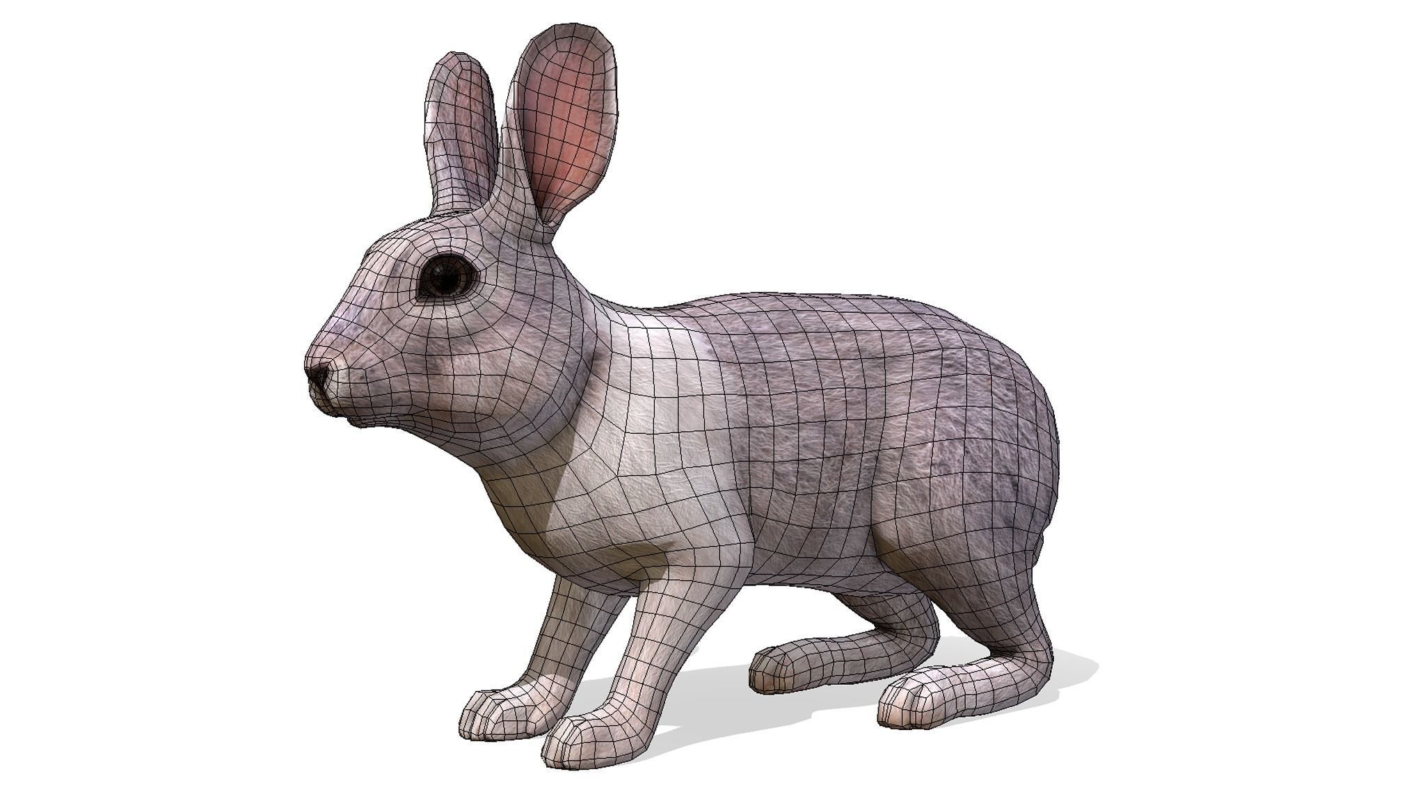 Rabbit Family Low-poly 3D model_4