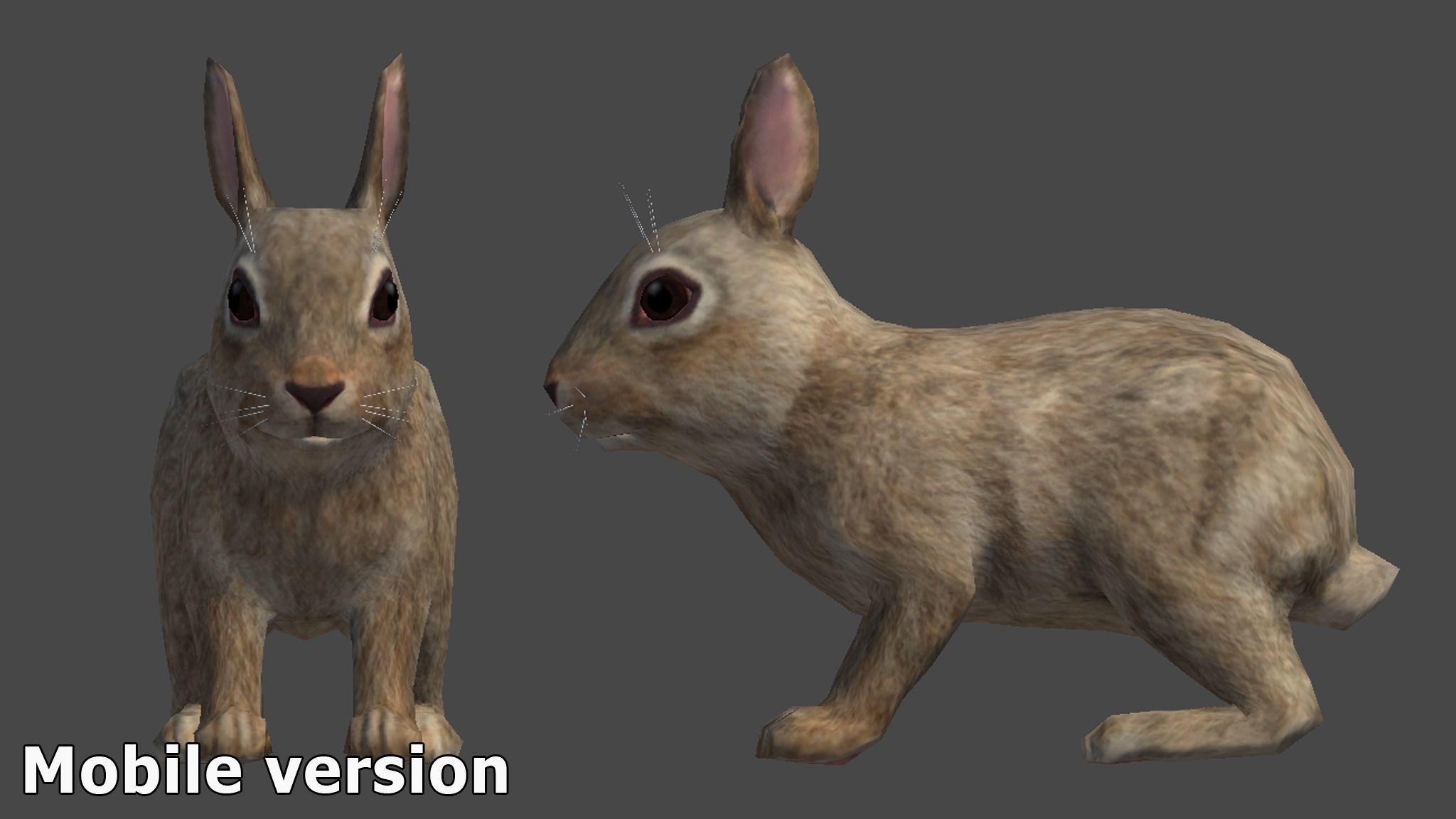 Rabbit Family Low-poly 3D model_11