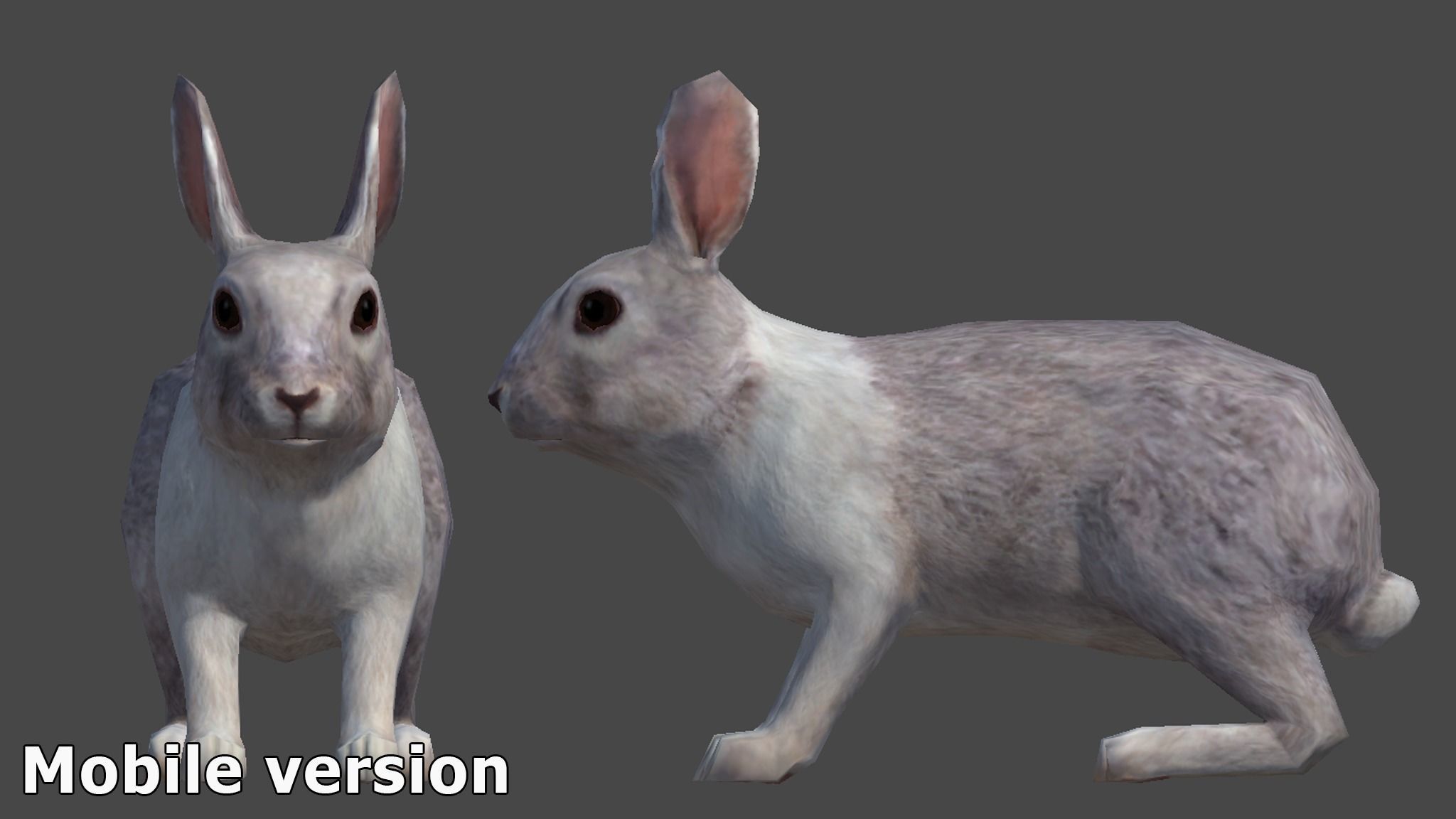 Rabbit Family Low-poly 3D model_19