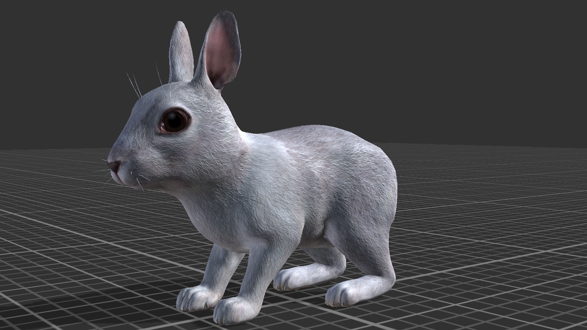 Rabbit Family Low-poly 3D model_14