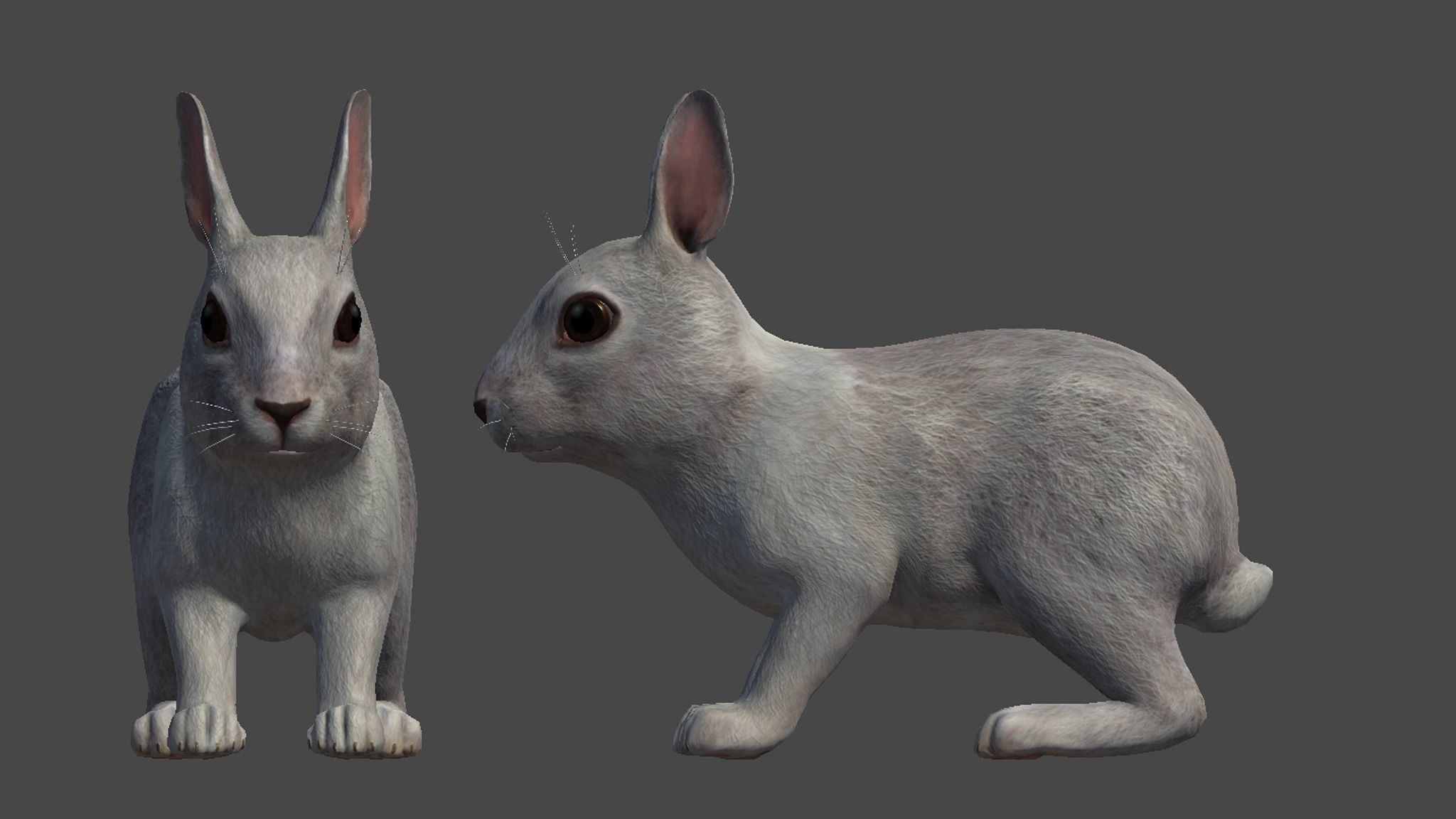 Rabbit Family Low-poly 3D model_18