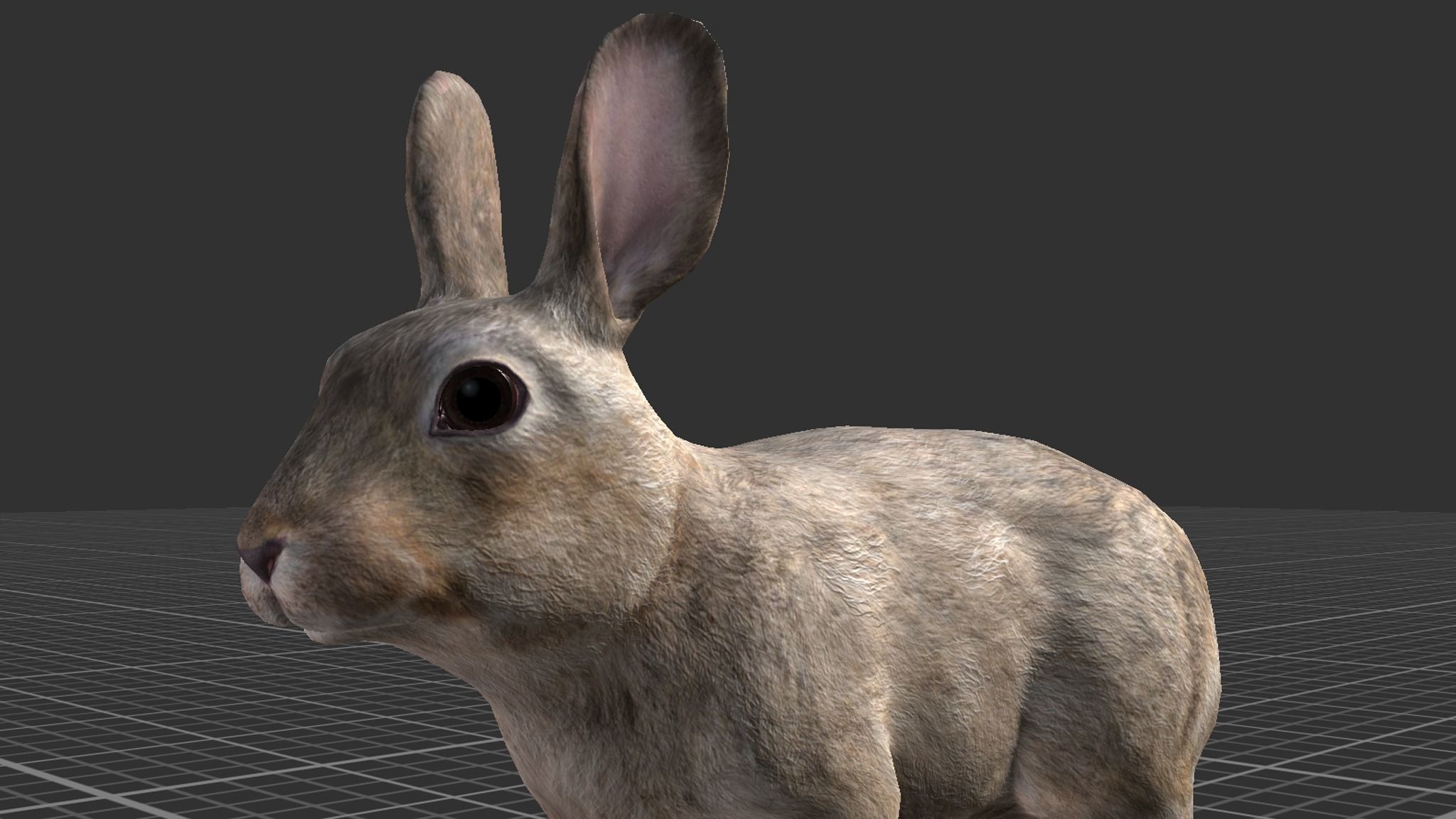 Rabbit Family Low-poly 3D model_10