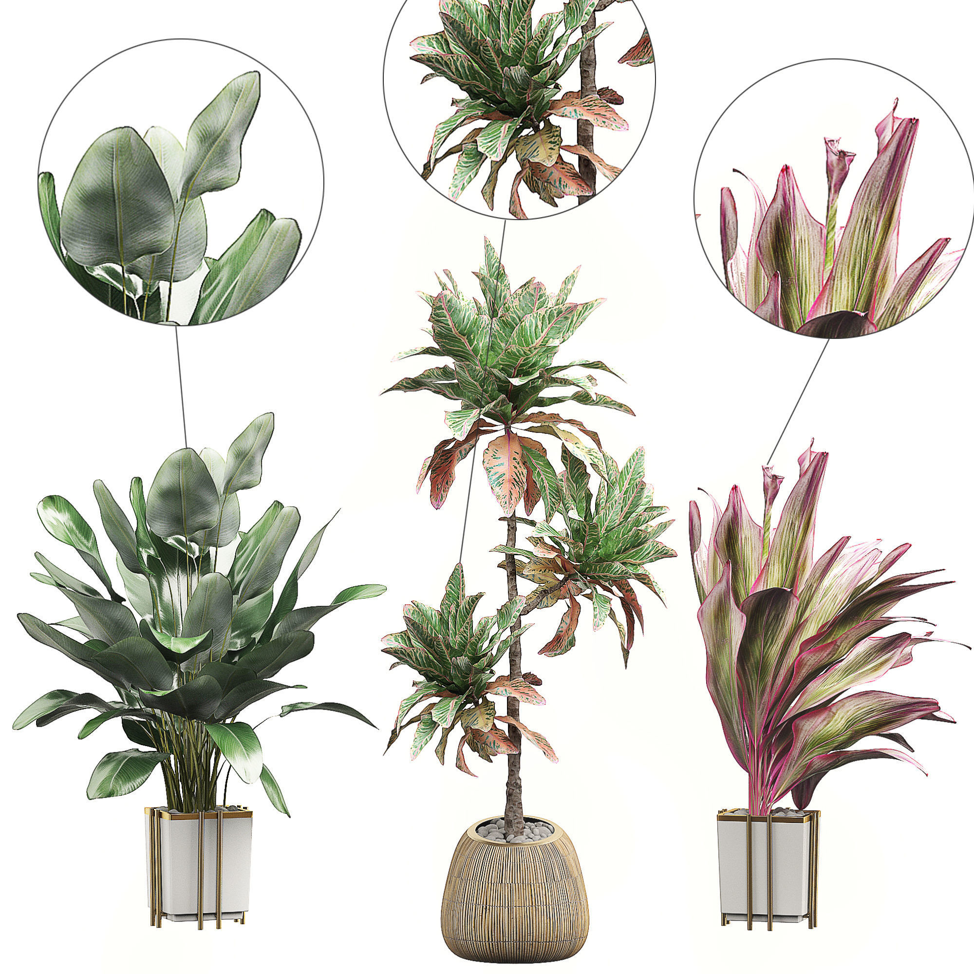 MEGA FLOWER PACK 5 3D model_2