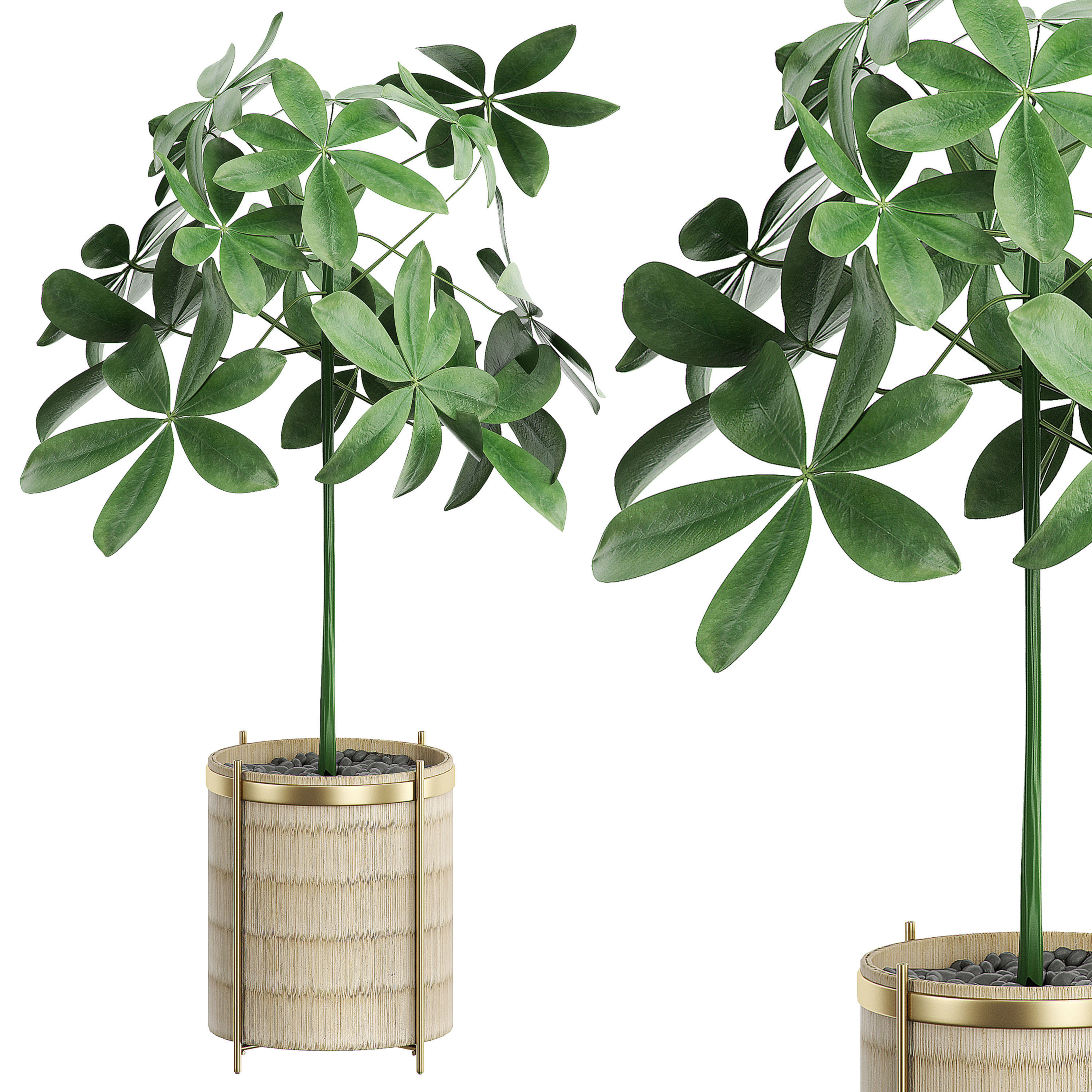 MEGA FLOWER PACK 5 3D model_3