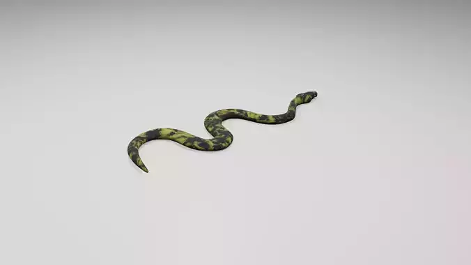 Snake Free low-poly 3D model