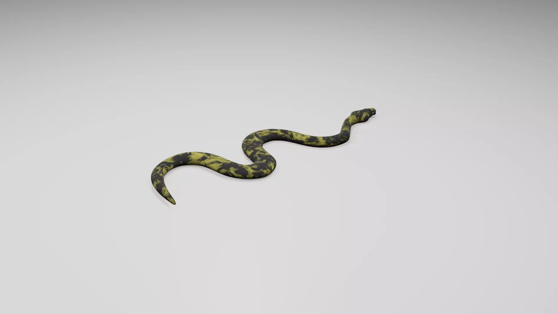 Snake Free low-poly 3D model_0