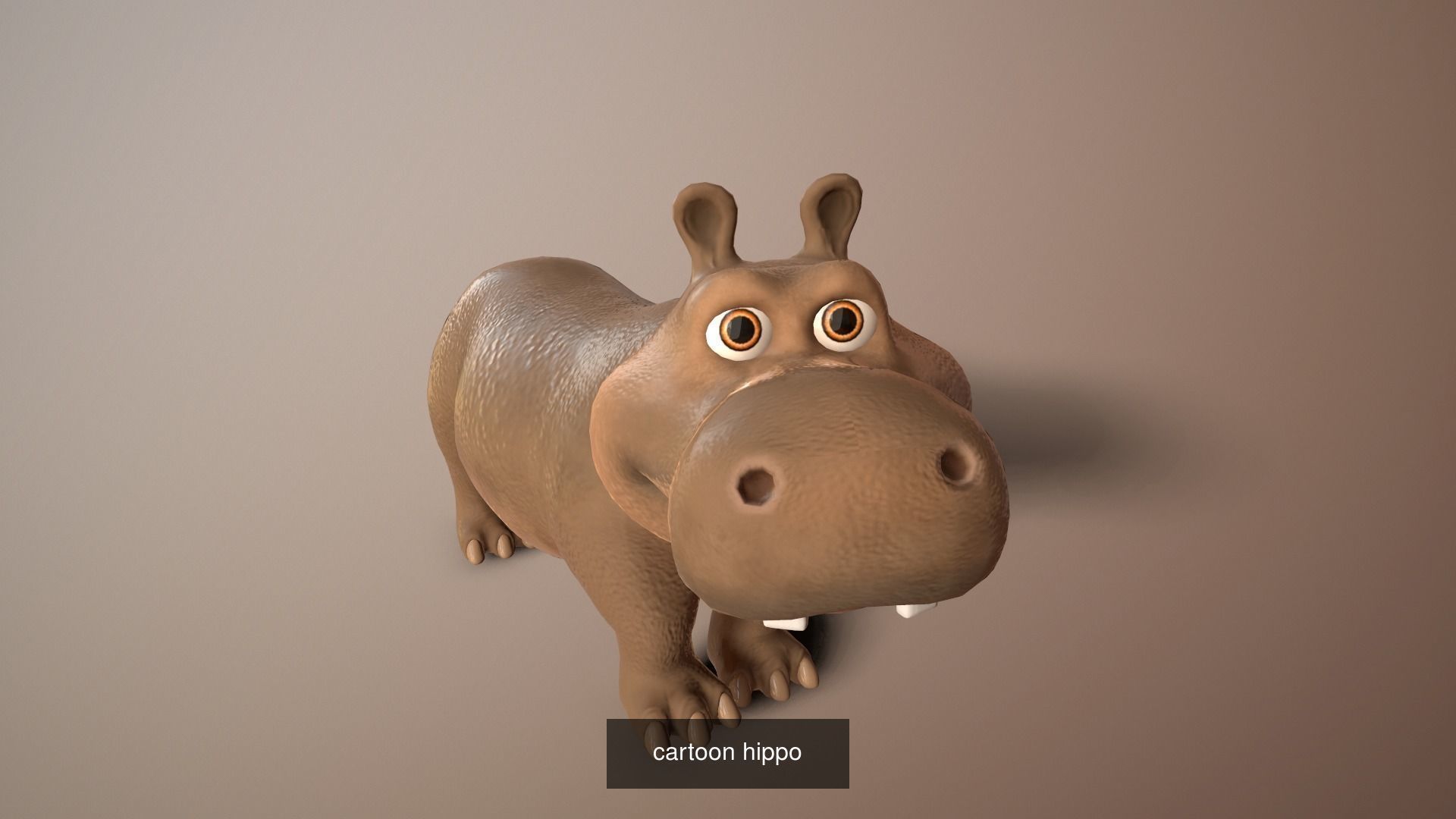 Cartoon african animals 3D Model Collection_7