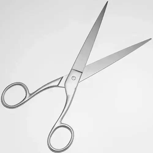 Scissors pair of