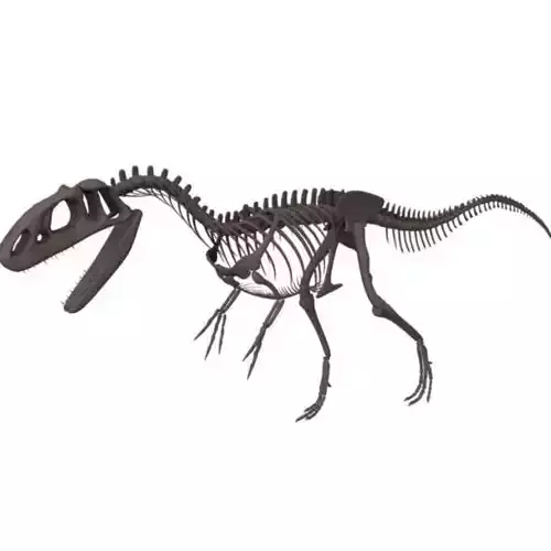 Allosaurus Skeleton