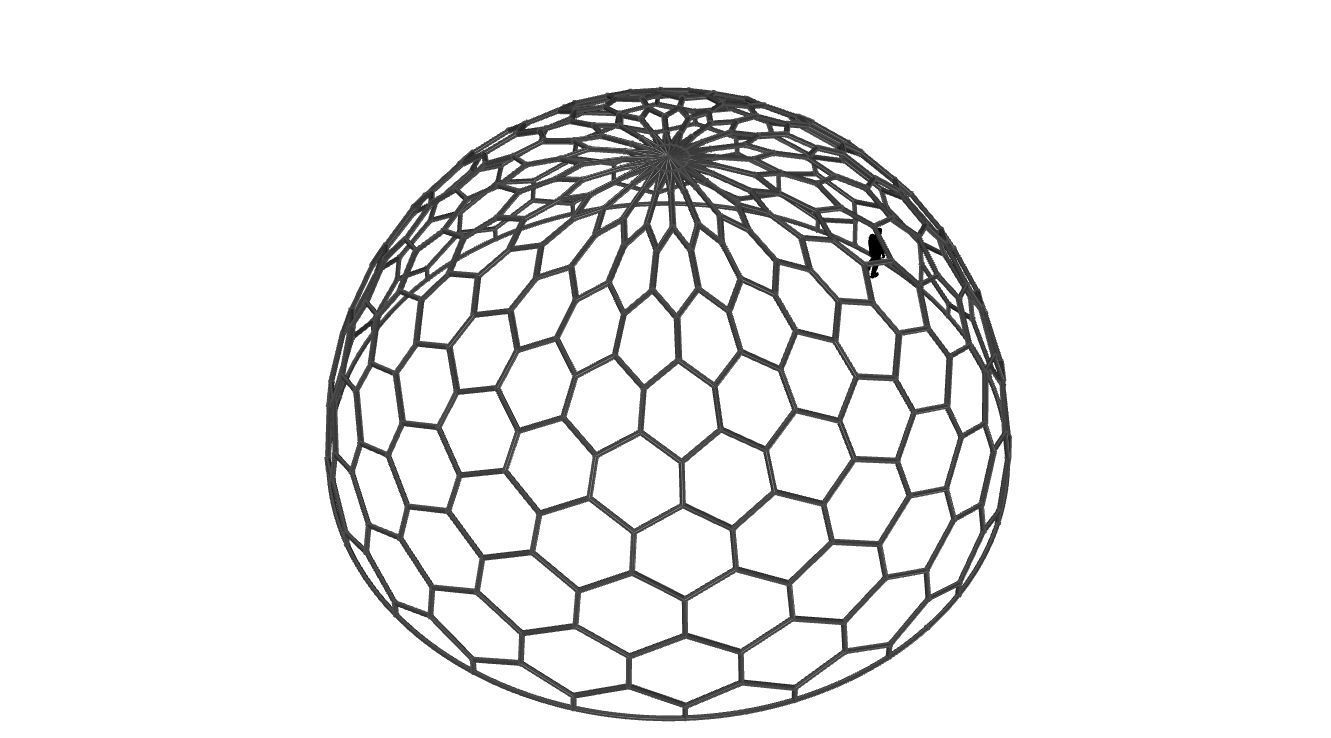 Hexagonal Dome structure Geodoesic Like Wireframe Design 3D model_49