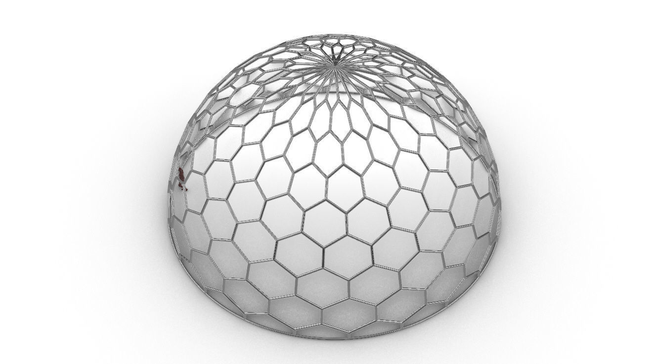 Hexagonal Dome structure Geodoesic Like Wireframe Design 3D model_104