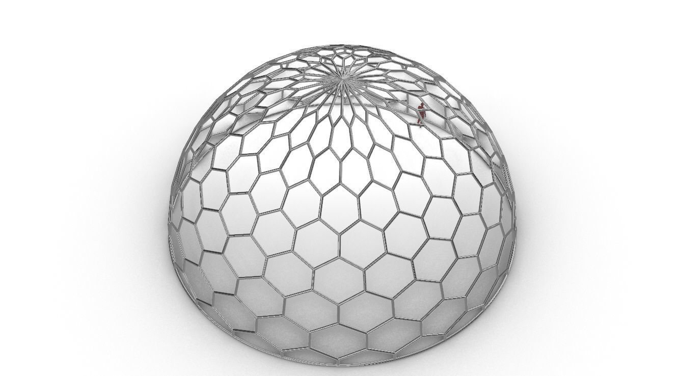 Hexagonal Dome structure Geodoesic Like Wireframe Design 3D model_100