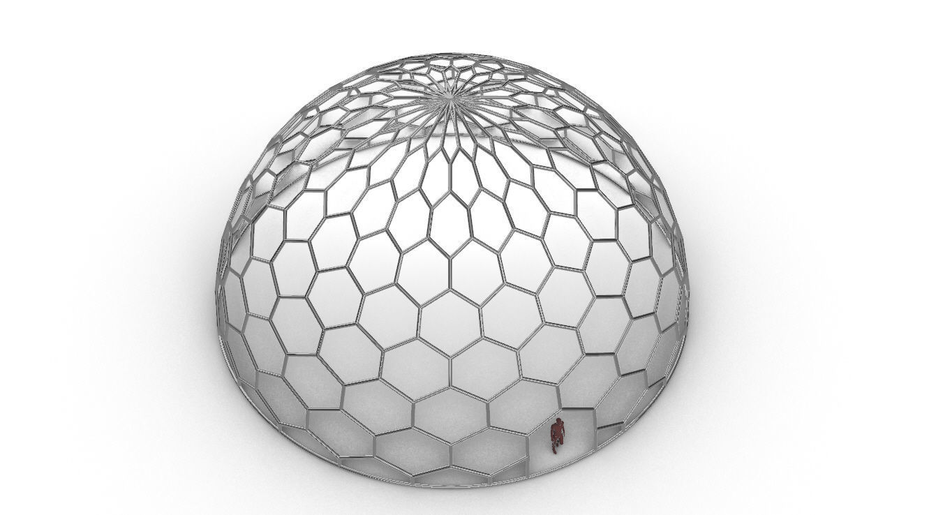 Hexagonal Dome structure Geodoesic Like Wireframe Design 3D model_105