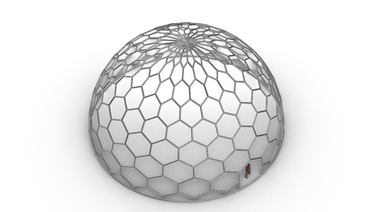Hexagonal Dome structure Geodoesic Like Wireframe Design 3D model_98