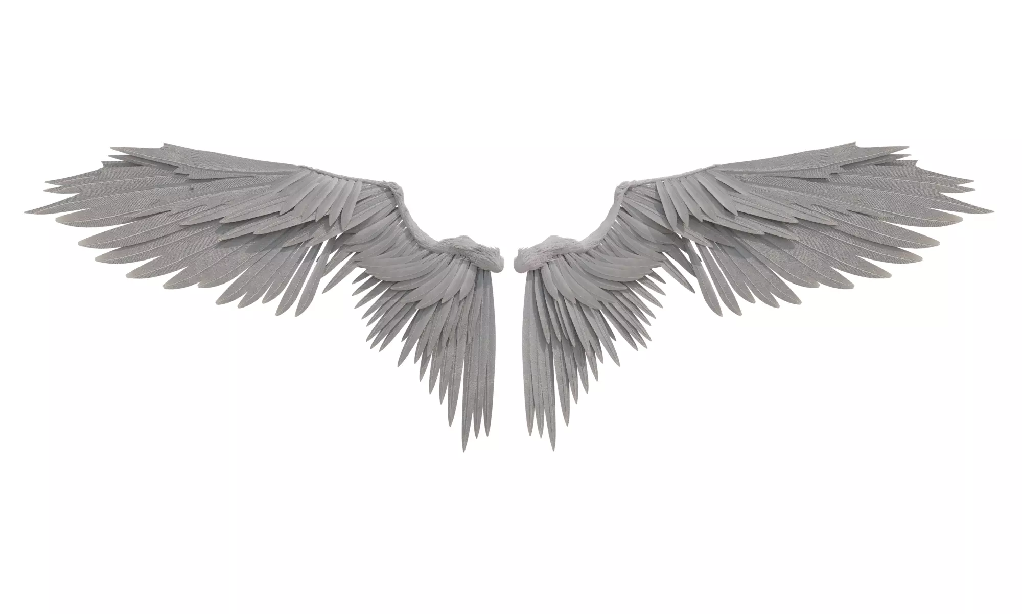 angel wings 3D model_0
