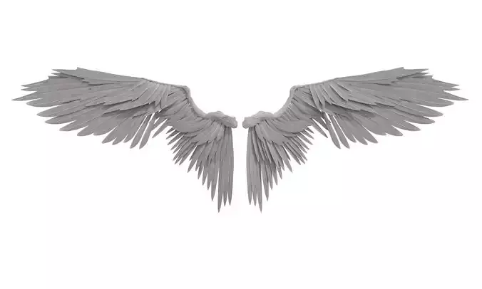 angel wings 3D model