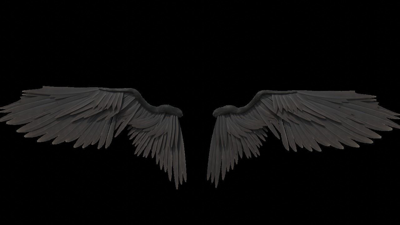 angel wings 3D model_2