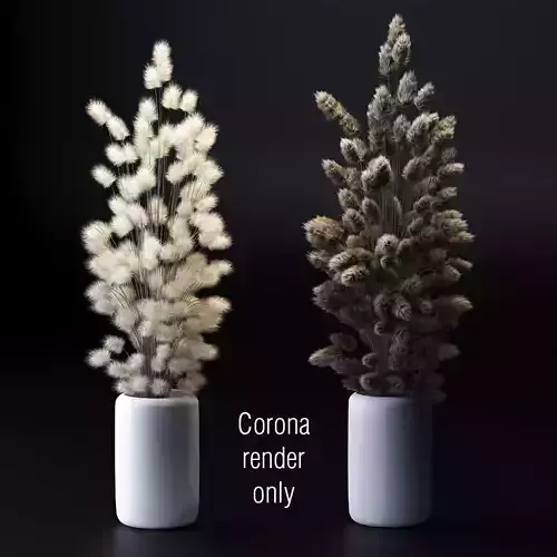 A bouquet of dried flowers - 2 models