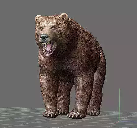 Bear Highpoly grizzly