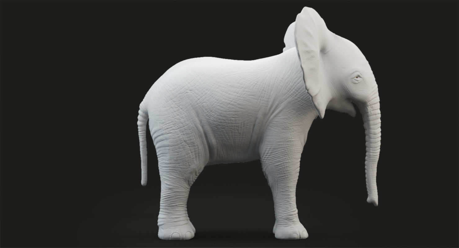Elephant and Baby Elephant Animated 8K Low-poly 3D model_28
