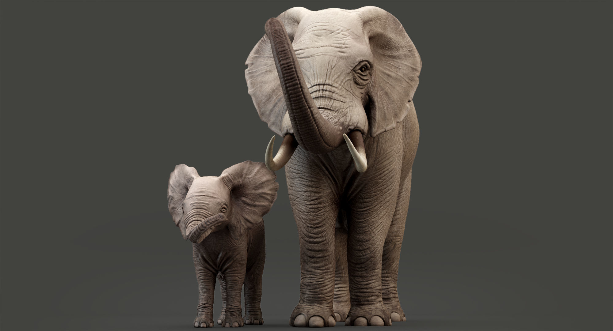 Elephant and Baby Elephant Animated 8K Low-poly 3D model_18