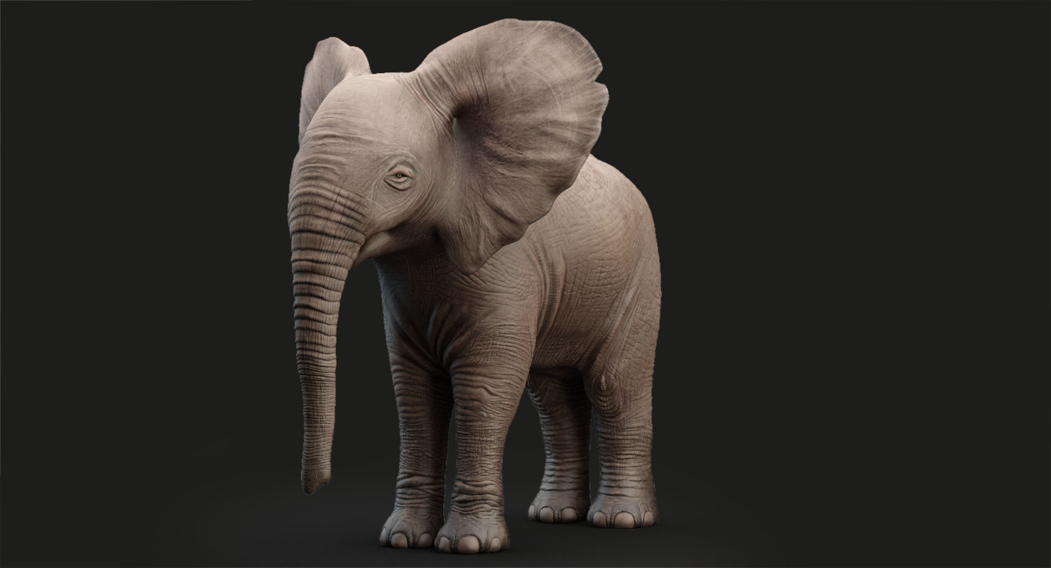 Elephant and Baby Elephant Animated 8K Low-poly 3D model_26