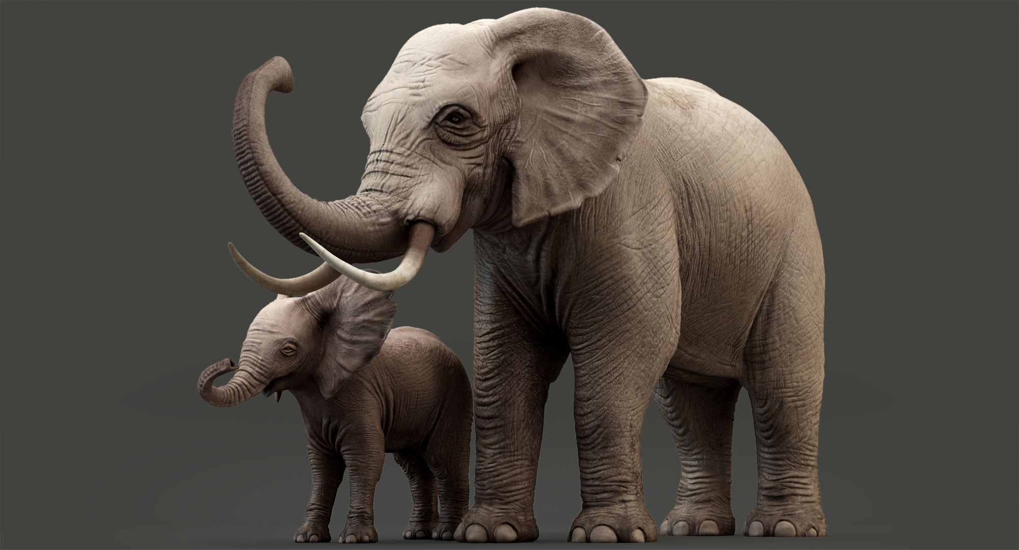 Elephant and Baby Elephant Animated 8K Low-poly 3D model_19
