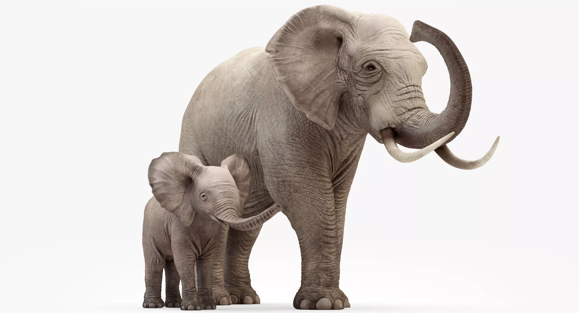 Elephant and Baby Elephant Animated 8K Low-poly 3D model_0