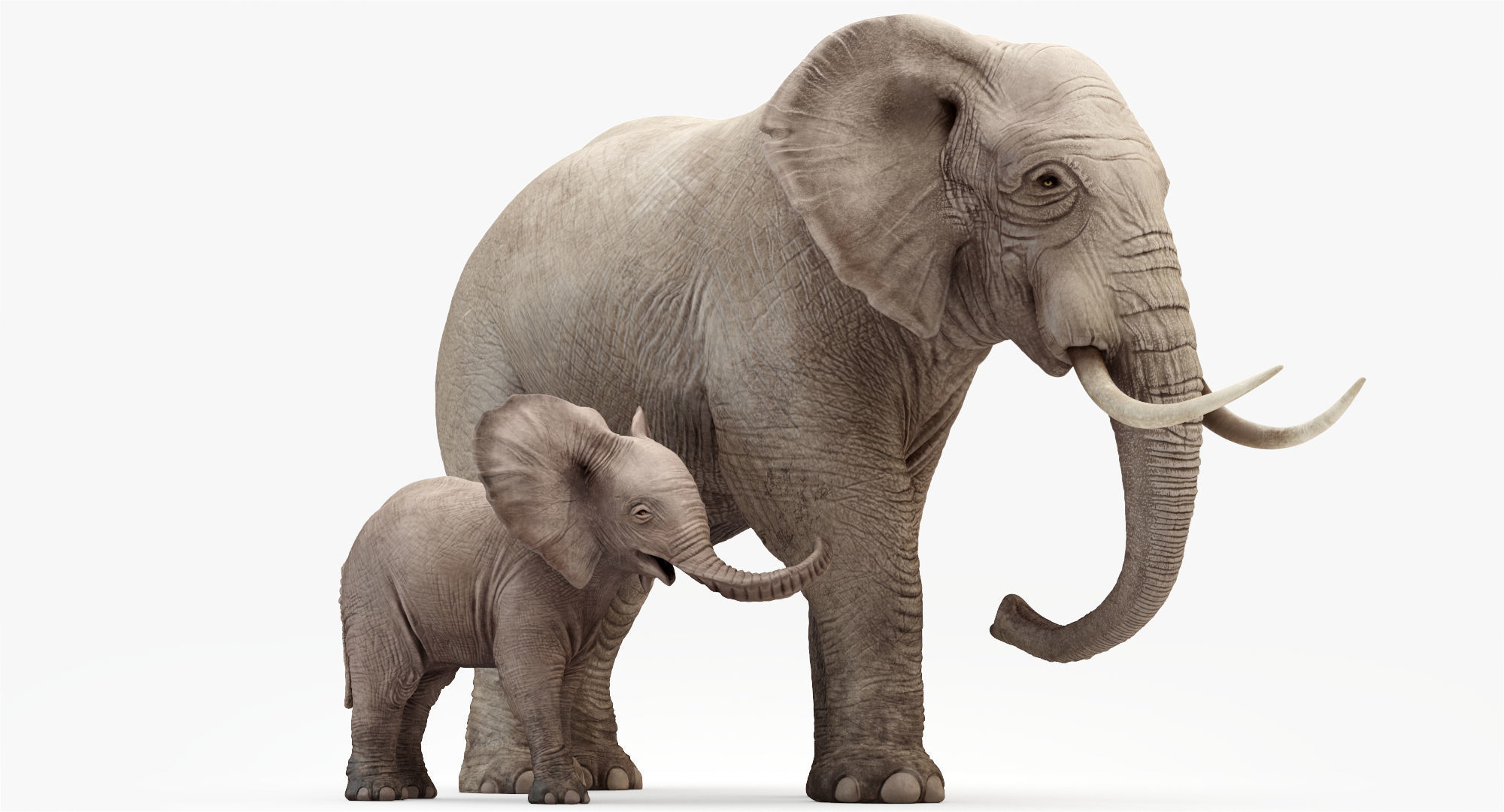Elephant and Baby Elephant Animated 8K Low-poly 3D model_21