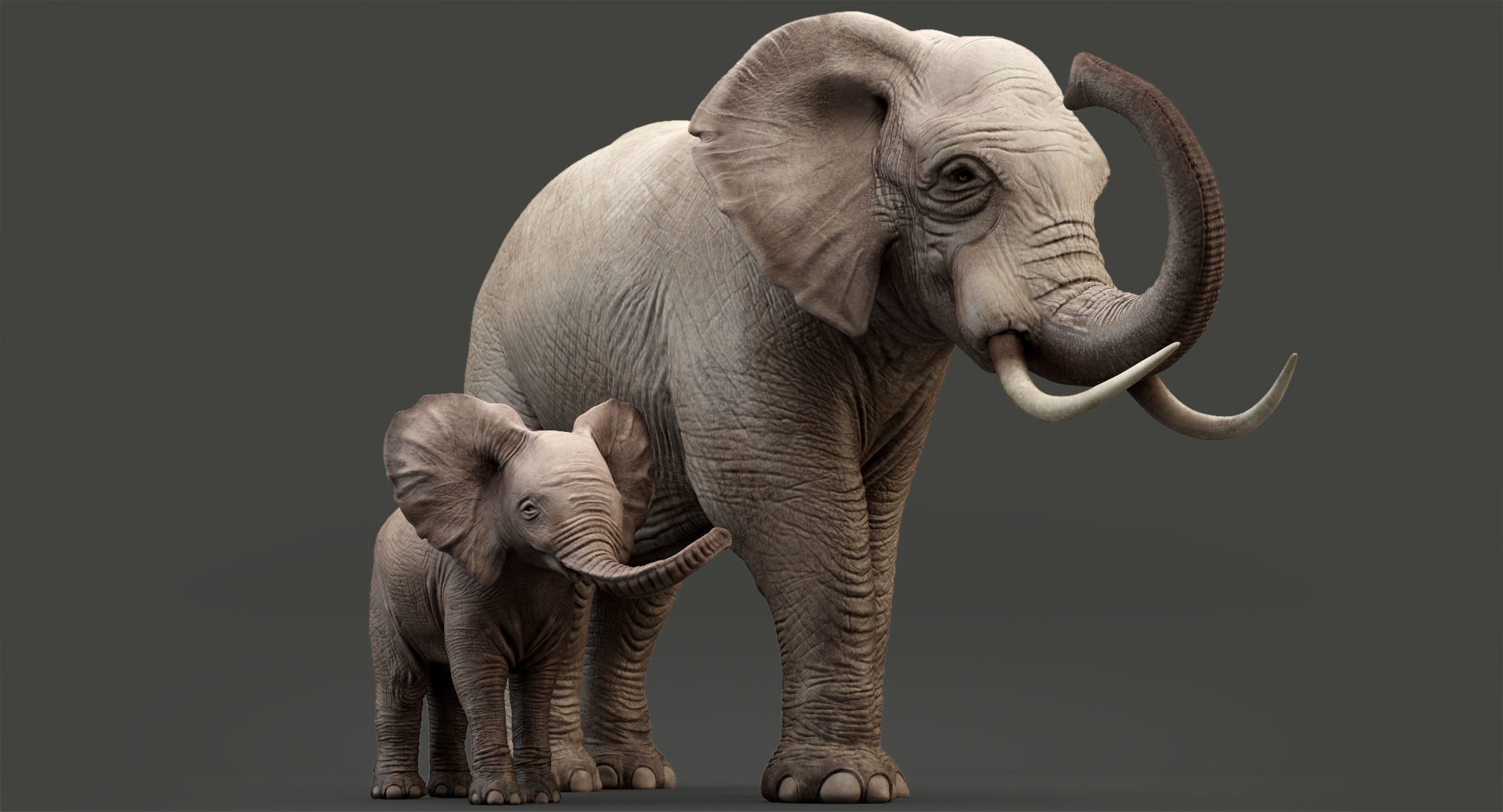Elephant and Baby Elephant Animated 8K Low-poly 3D model_17