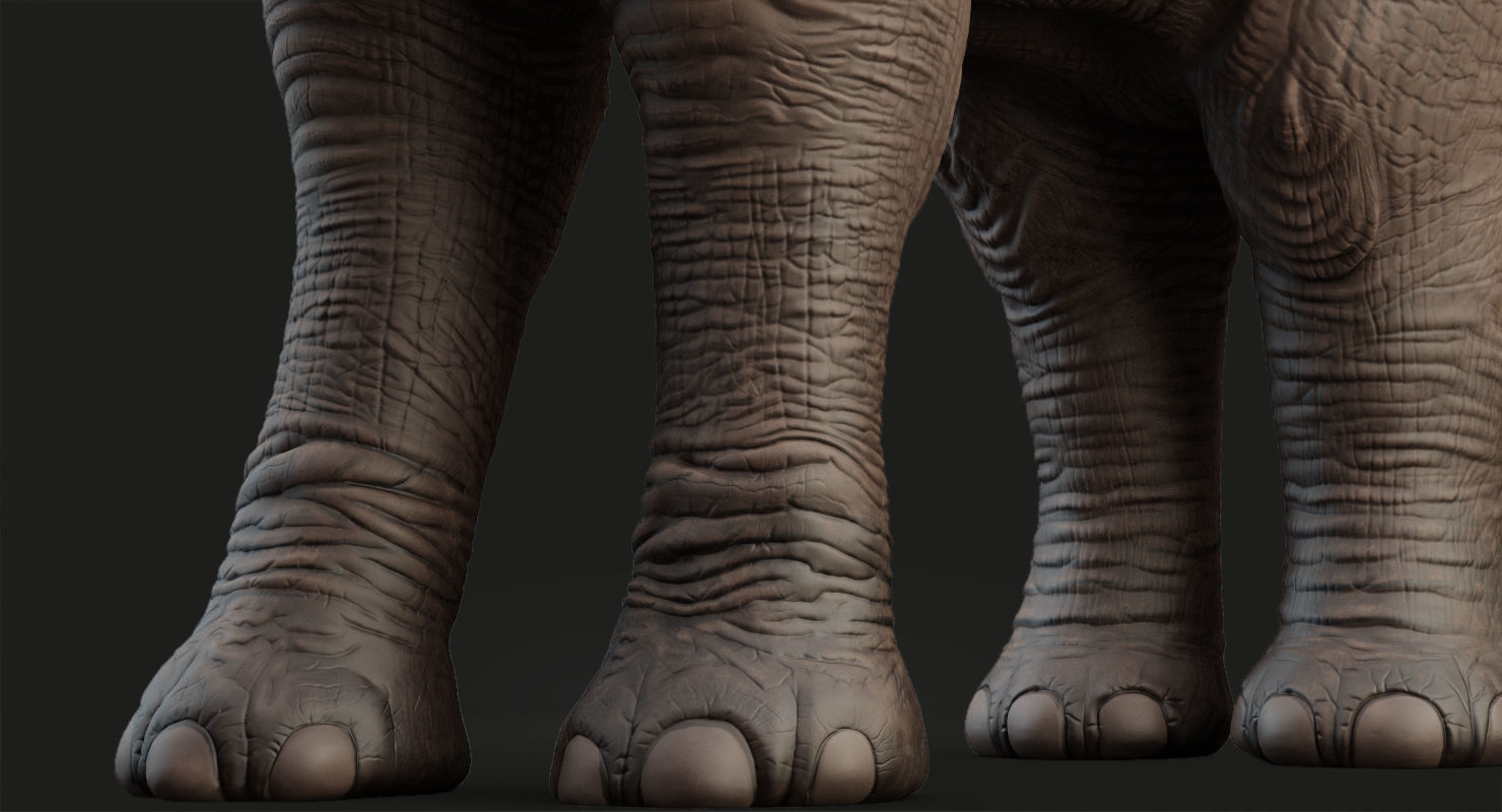 Elephant and Baby Elephant Animated 8K Low-poly 3D model_27