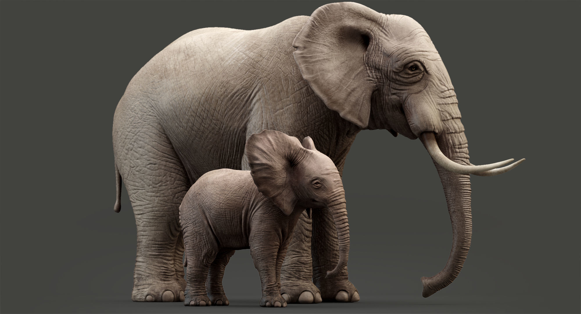 Elephant and Baby Elephant Animated 8K Low-poly 3D model_16