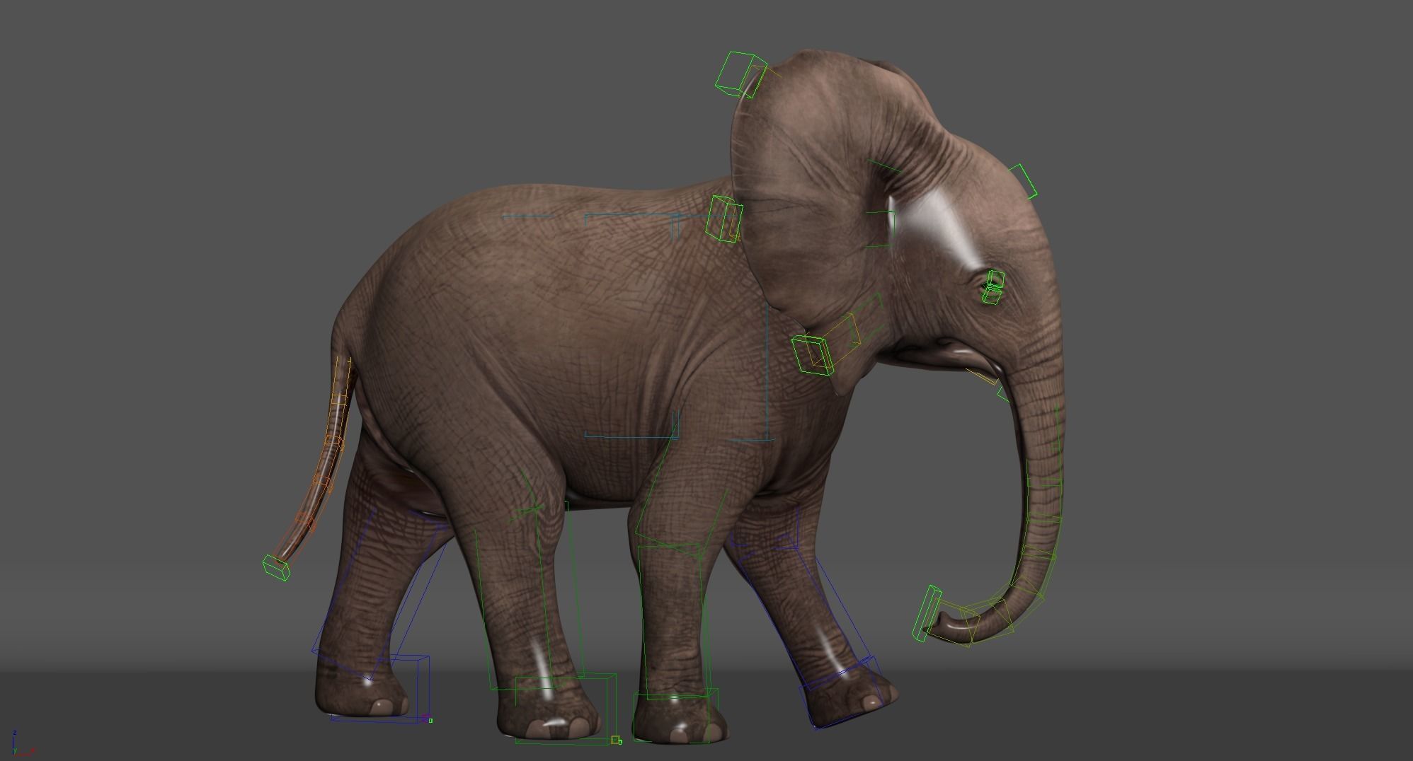 Elephant and Baby Elephant Animated 8K Low-poly 3D model_33