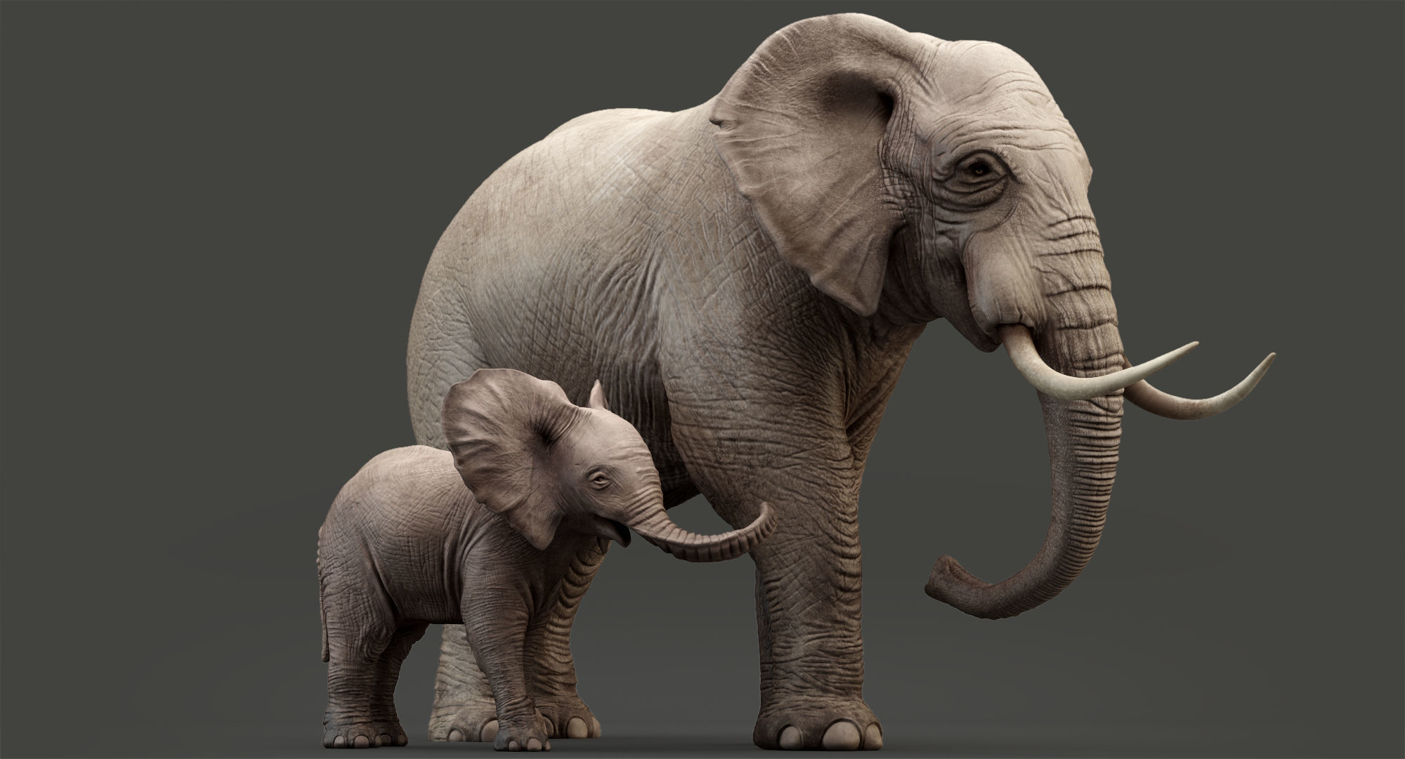 Elephant and Baby Elephant Animated 8K Low-poly 3D model_20