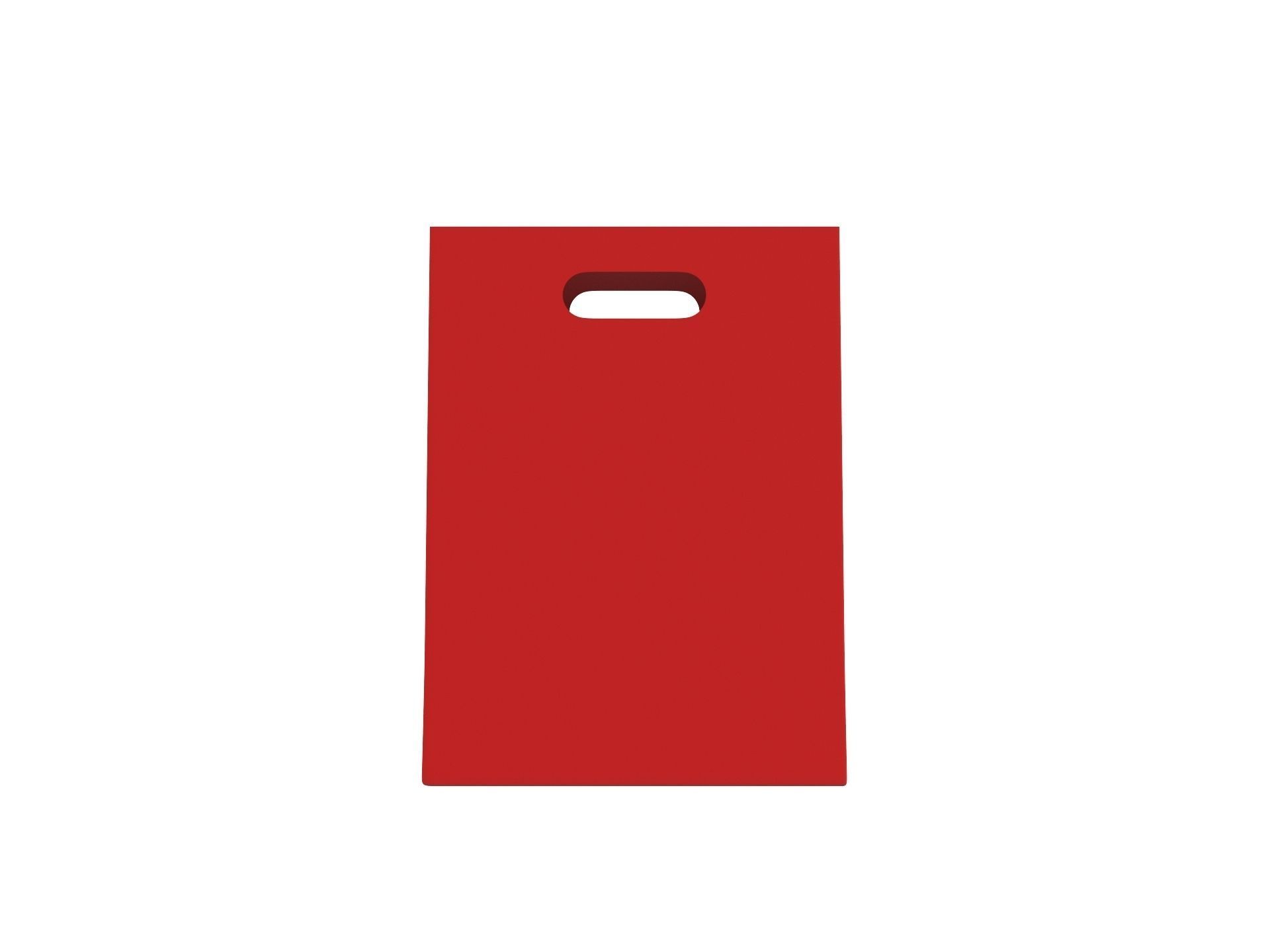 Shopping Bag 3D model_1