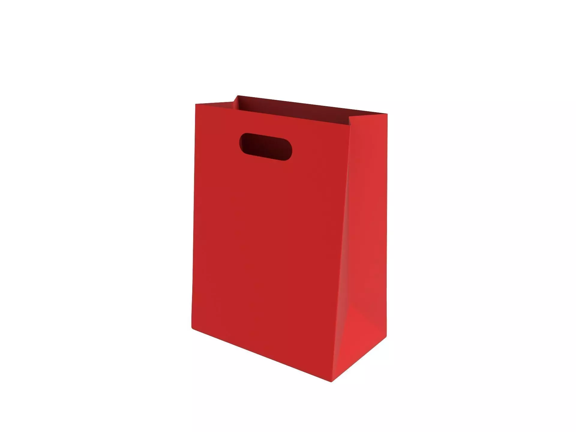 Shopping Bag 3D model_0