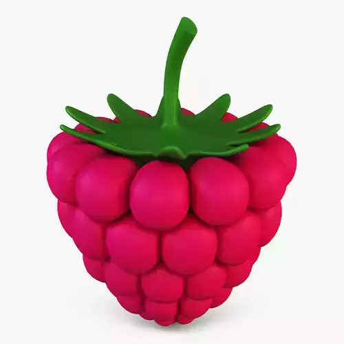 Cartoon Raspberry v 2