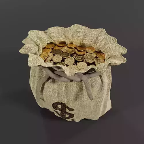 Money Bag