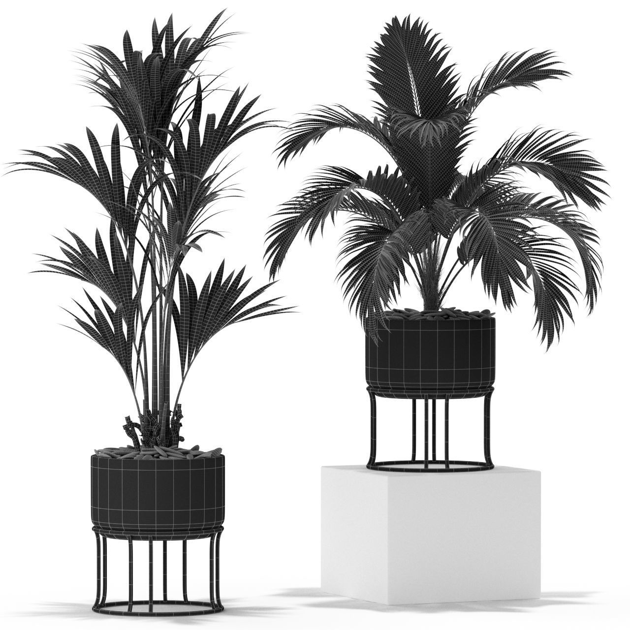 Plants collection 365 3D model_3