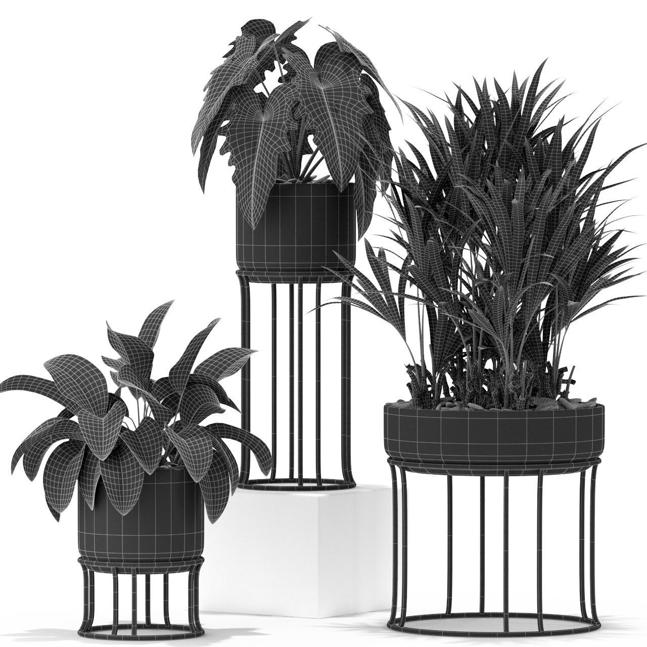 Plants collection 365 3D model_4