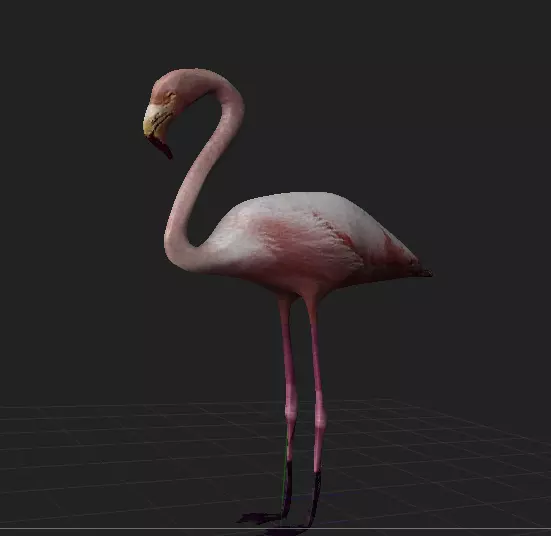 Flamingo 3D model
