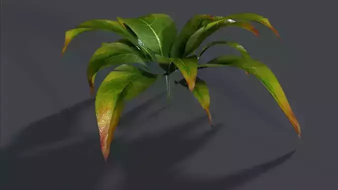 Plant with high quality details Free low-poly 3D model