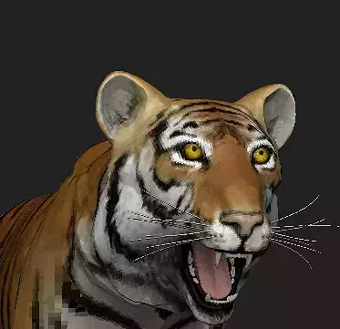 Tiger